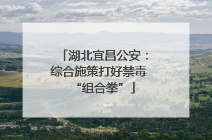 湖北宜昌公安：综合施策打好禁毒“组合拳”