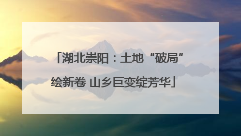 湖北崇阳：土地“破局”绘新卷 山乡巨变绽芳华