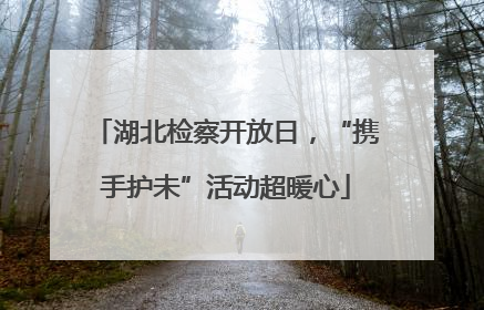 湖北检察开放日，“携手护未”活动超暖心