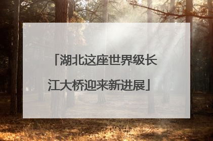 湖北这座世界级长江大桥迎来新进展