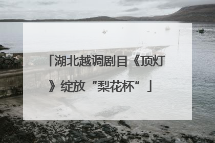 湖北越调剧目《顶灯》绽放“梨花杯”
