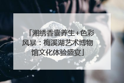 湘绣香囊养生+色彩风暴：梅溪湖艺术博物馆文化体验盛宴