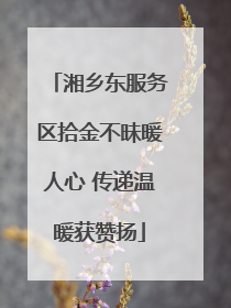 湘乡东服务区拾金不昧暖人心 传递温暖获赞扬