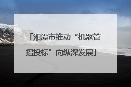 湘潭市推动“机器管招投标”向纵深发展