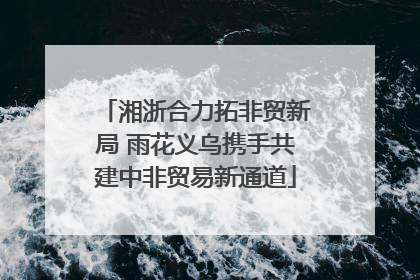 湘浙合力拓非贸新局 雨花义乌携手共建中非贸易新通道