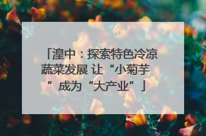 湟中：探索特色冷凉蔬菜发展 让“小菊芋”成为“大产业”