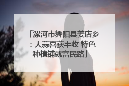 漯河市舞阳县姜店乡：大蒜喜获丰收 特色种植铺就富民路