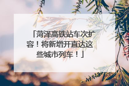 菏泽高铁站车次扩容！将新增开直达这些城市列车！