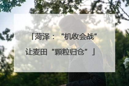 菏泽：“机收会战”让麦田“颗粒归仓”