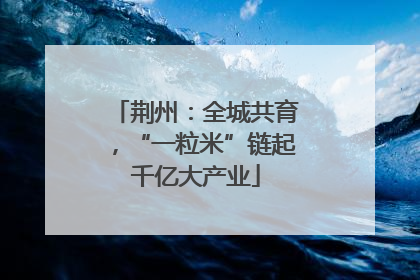 荆州：全城共育，“一粒米”链起千亿大产业