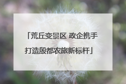 荒丘变景区 政企携手打造殷都农旅新标杆