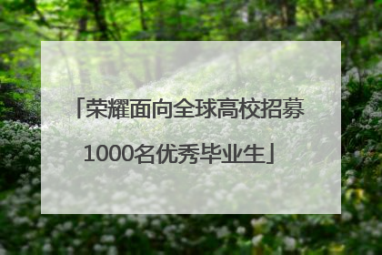 荣耀面向全球高校招募1000名优秀毕业生