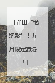 莆田“绝绝紫”！五月限定浪漫！