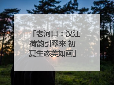 老河口：汉江荷韵引翠来 初夏生态美如画