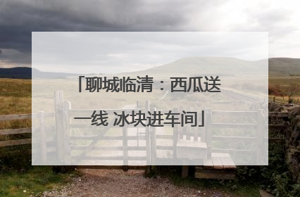 聊城临清：西瓜送一线 冰块进车间