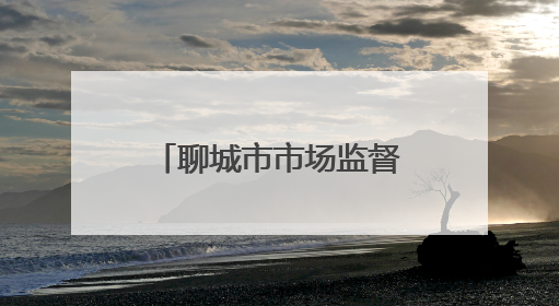 聊城市市场监督管理局：打好服务“组合拳” 外资登记“无忧办”