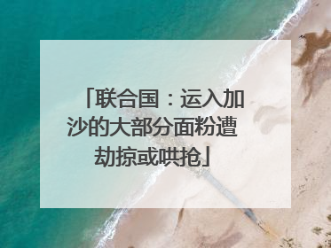 联合国：运入加沙的大部分面粉遭劫掠或哄抢