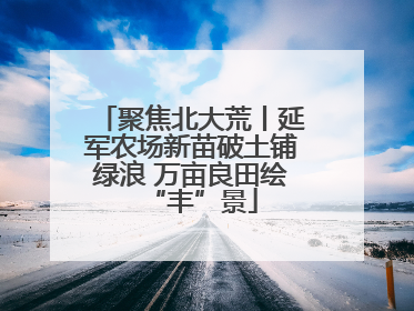 聚焦北大荒丨延军农场新苗破土铺绿浪 万亩良田绘“丰”景