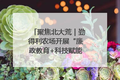 聚焦北大荒｜勤得利农场开展“廉政教育+科技赋能”主题党日活动