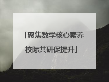 聚焦数学核心素养 校际共研促提升