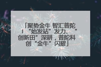 聚势金牛 智汇普陀〡“始发站”发力、“创新田”深耕，普陀科创“金牛”闪耀