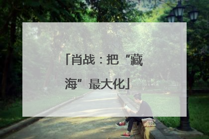 肖战：把“藏海”最大化