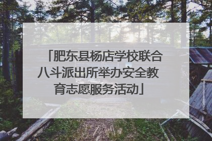 肥东县杨店学校联合八斗派出所举办安全教育志愿服务活动
