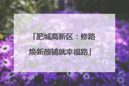 肥城高新区：修路焕新颜铺就幸福路
