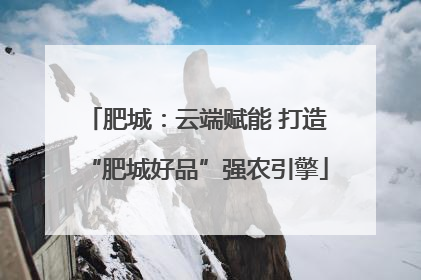肥城：云端赋能 打造“肥城好品”强农引擎