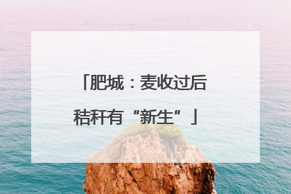 肥城：麦收过后秸秆有“新生”