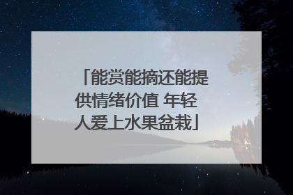 能赏能摘还能提供情绪价值 年轻人爱上水果盆栽