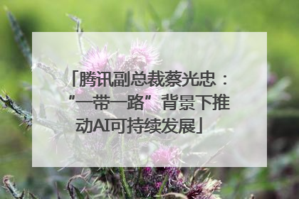 腾讯副总裁蔡光忠：“一带一路”背景下推动AI可持续发展