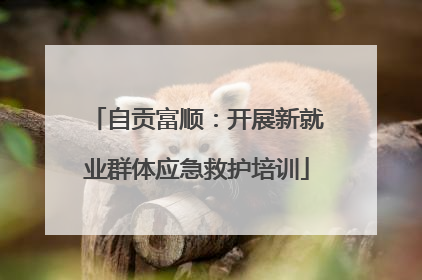 自贡富顺：开展新就业群体应急救护培训