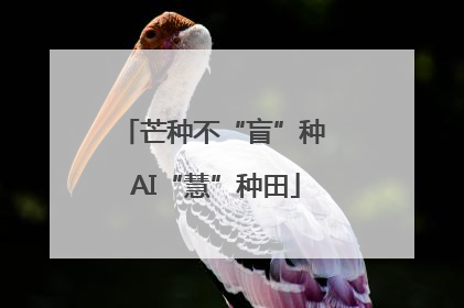 芒种不“盲”种 AI“慧”种田