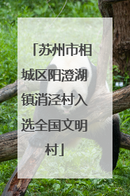 苏州市相城区阳澄湖镇消泾村入选全国文明村