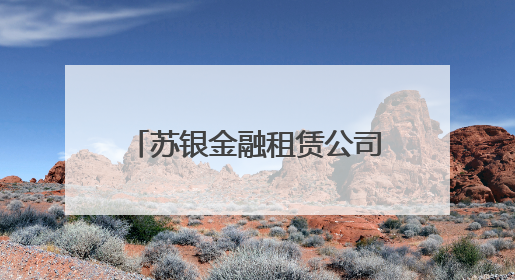 苏银金融租赁公司开展“苏银圆梦计划——童心向未来”微心愿捐赠活动