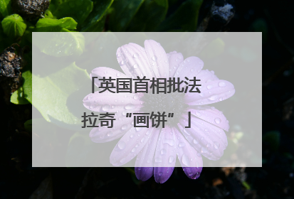 英国首相批法拉奇“画饼”