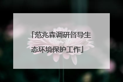 范兆森调研督导生态环境保护工作