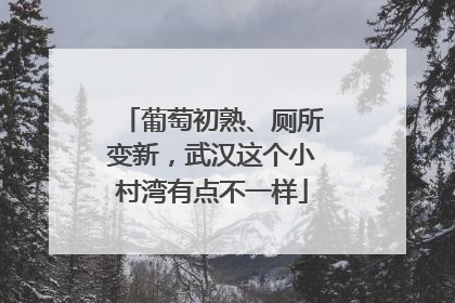 葡萄初熟、厕所变新，武汉这个小村湾有点不一样
