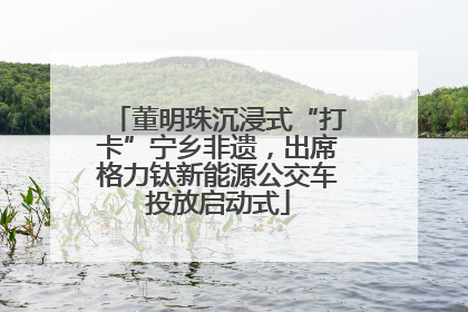 董明珠沉浸式“打卡”宁乡非遗，出席格力钛新能源公交车投放启动式