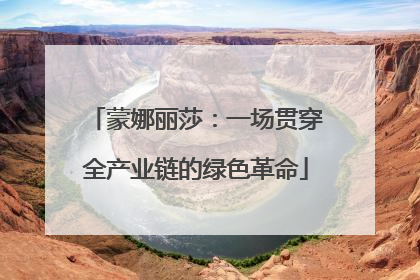 蒙娜丽莎：一场贯穿全产业链的绿色革命