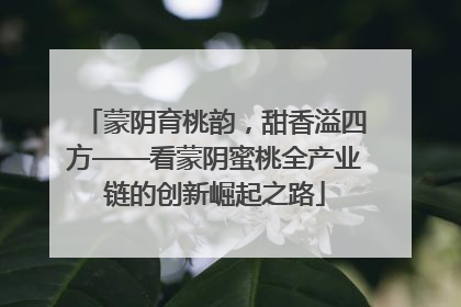 蒙阴育桃韵，甜香溢四方——看蒙阴蜜桃全产业链的创新崛起之路