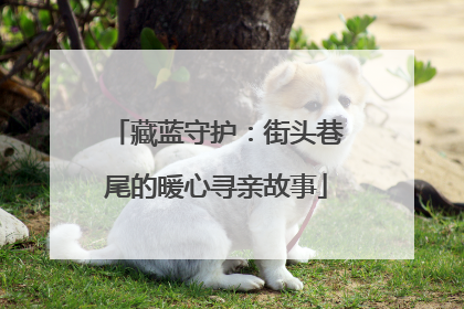 藏蓝守护：街头巷尾的暖心寻亲故事