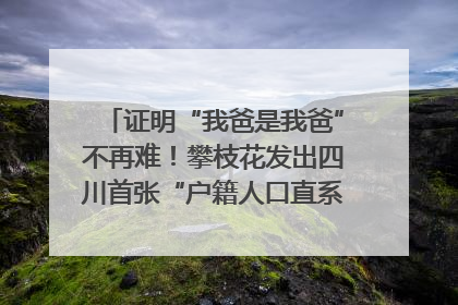 证明“我爸是我爸”不再难！攀枝花发出四川首张“户籍人口直系亲属关系谱”