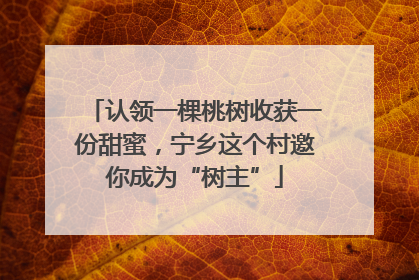 认领一棵桃树收获一份甜蜜，宁乡这个村邀你成为“树主”