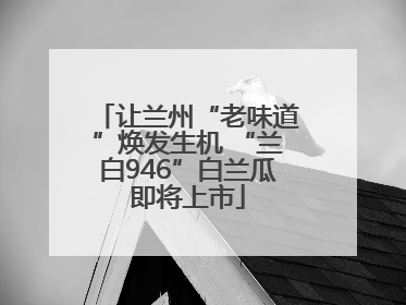 让兰州“老味道”焕发生机 “兰白946”白兰瓜即将上市