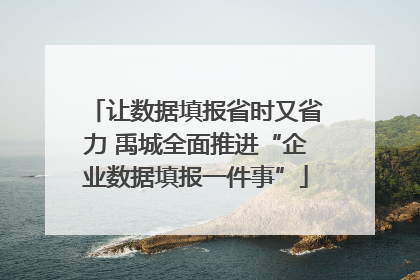 让数据填报省时又省力 禹城全面推进“企业数据填报一件事”