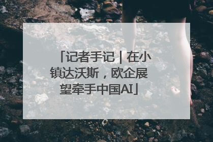 记者手记｜在小镇达沃斯，欧企展望牵手中国AI