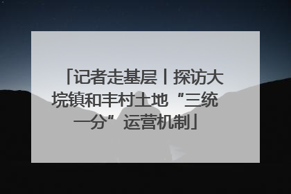 记者走基层丨探访大垸镇和丰村土地“三统一分”运营机制