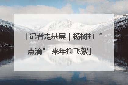 记者走基层｜杨树打“点滴” 来年抑飞絮